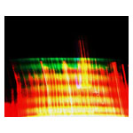 collage_image